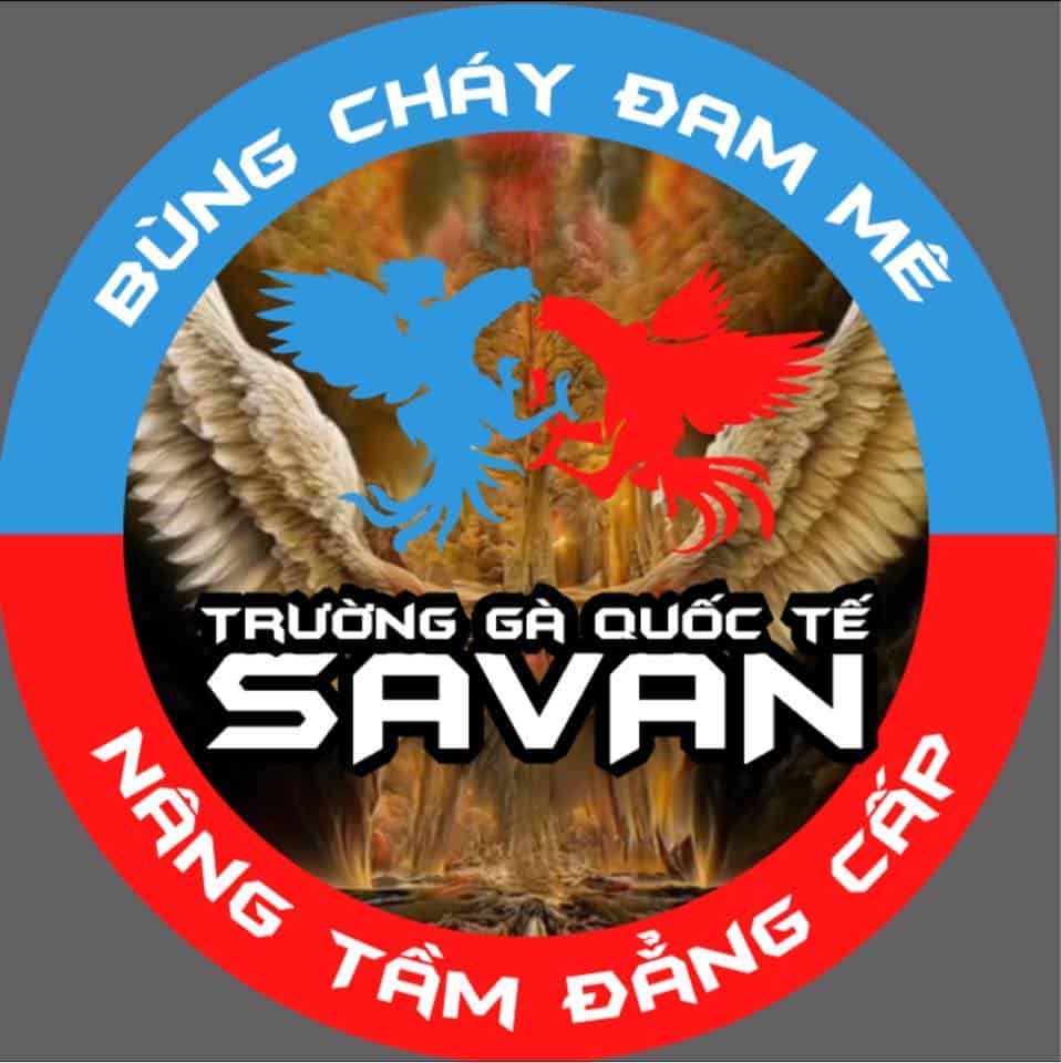 Thông tin cơ bản về trường gà Savan